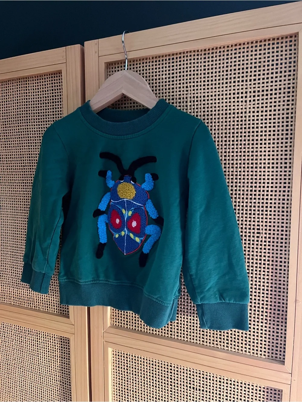 Forest Green Kids Sweatshirt with Colorful Bug 2-3T